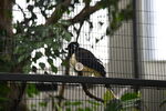 DSC_9182.JPG